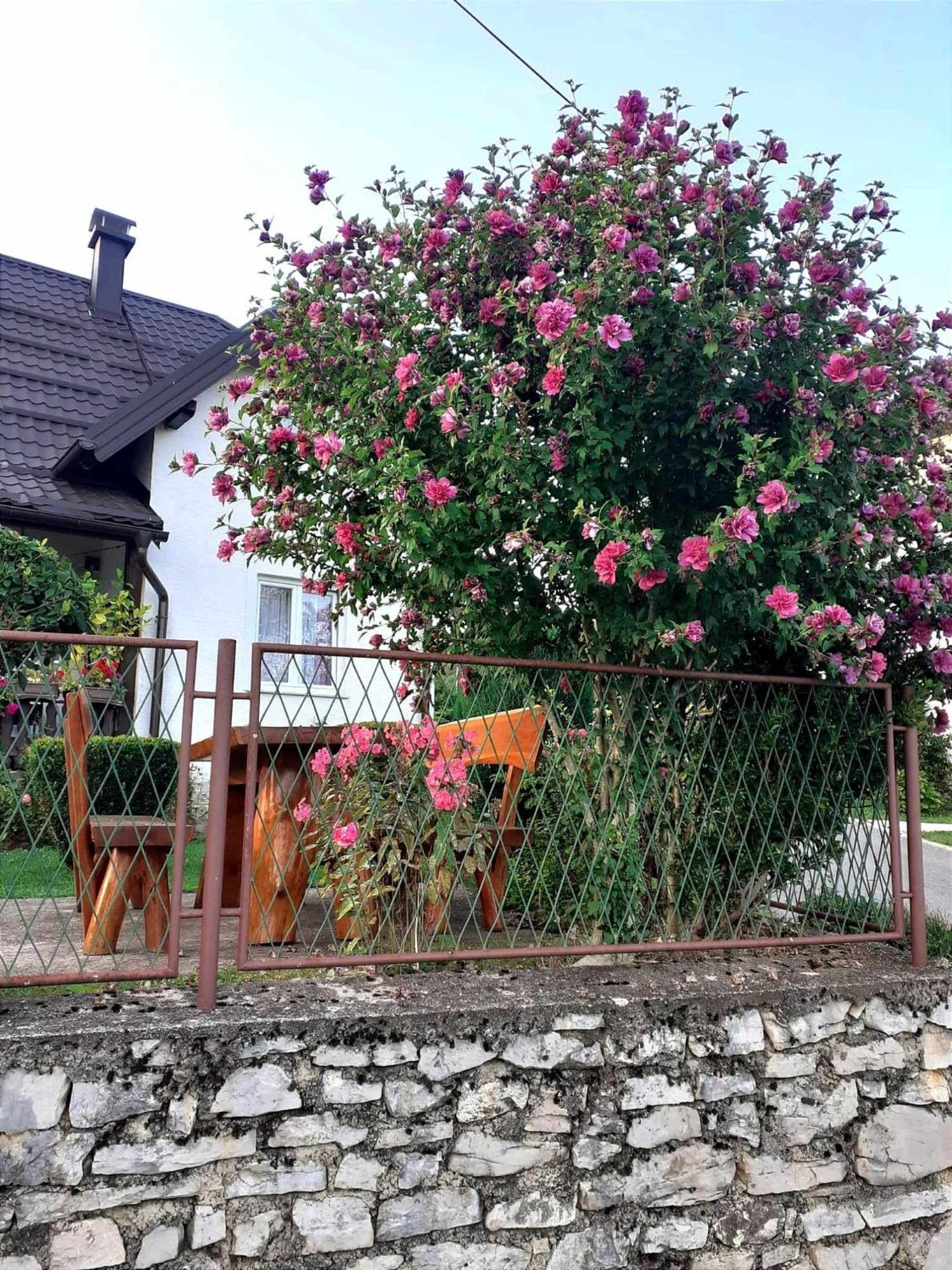 Guesthouse Milka Poljanak Exteriör bild